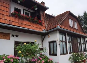 romania/covasna/restaurant/pensiunea-schneider