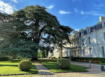 france/loire-valley/restaurant/restaurant-du-chateau-de-rochecotte