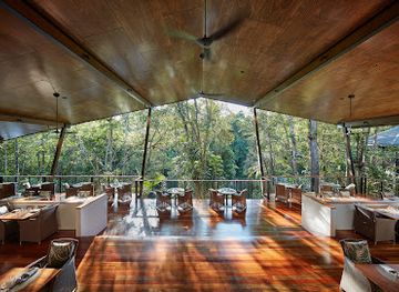 australia/queensland/restaurant/treehouse-restaurant