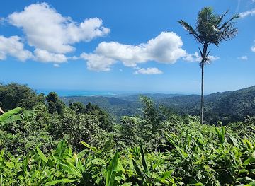 puerto-rico/luquillo-mountains/restaurant/el-yunque-rainforest-cafe