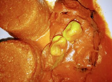 benin/cotonou/aidjedo/restaurant/l-oiseau-bleu-restaurant