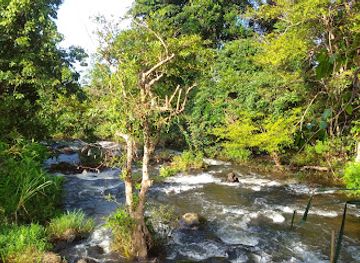 laos/bolaven-plateau/restaurant/bolaven-paradise