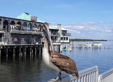 florida/cedar-key/restaurant/steamers