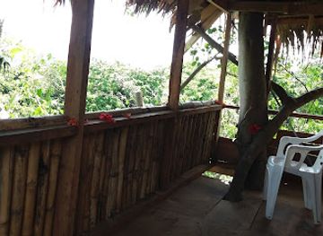 vanuatu/lenakel/restaurant/tanna-eco-venture