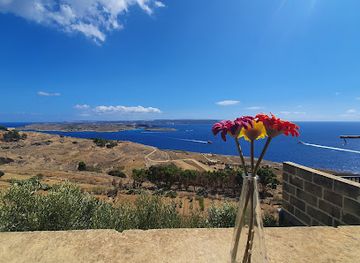 malta/blue-lagoon/restaurant/xerri-il-bukkett