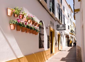 spain/cordoba/restaurant/bodegas-mezquita-cespedes