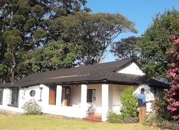 zimbabwe/manicaland/restaurant/tonys-coffee-and-chocolate-shop