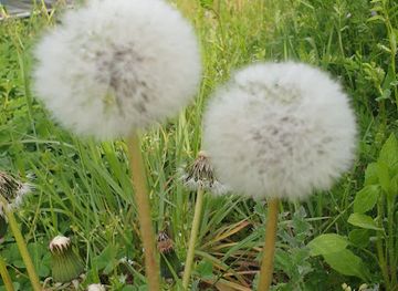 south-korea/naejangsan-national-park/restaurant/mount-naejang-national-park