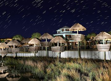 florida/st-augustine-beach/restaurant/the-conch-house-restaurant