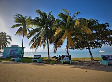 belize/sarteneja/restaurant/martineja