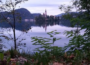 slovenia/lake-bled/restaurant/gostilna-kurej