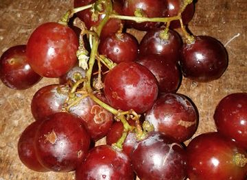 indonesia/central-java/restaurant/rumah-makan-d-raden-restaurant