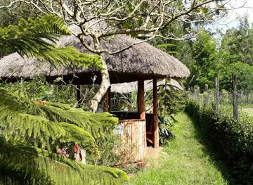 kenya/aberdare-range/restaurant/the-trout-valley-nyeri