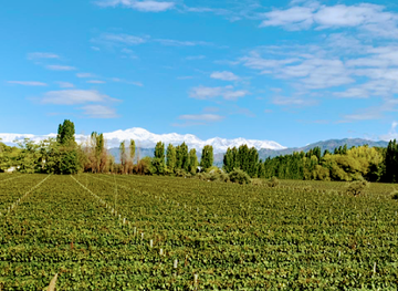 argentina/mendoza-wine-region/restaurant/casarena-bodega-y-vinedos