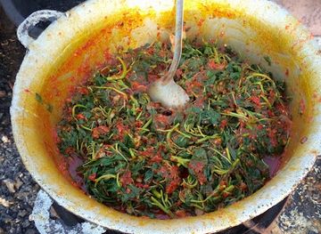 nigeria/gwari/restaurant/jummies-garden
