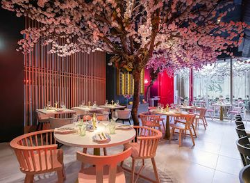 panama/panama-city/bella-vista/restaurant/blame-kiki