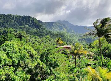 dominica/indian-river/restaurant/view-point-restaurant-and-bar