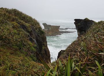 new-zealand/punakaiki/restaurant/punakaiki-crafts