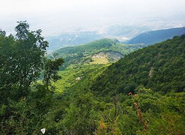 albania/tirana/mount-dajti-national-park/restaurant/bar-restorant-foresta