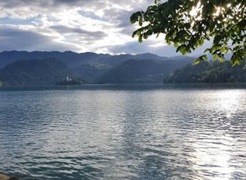 slovenia/lake-bled/restaurant/public-vegan-kitchen-bled