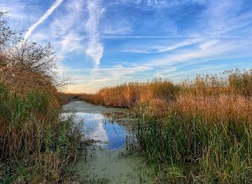 louisiana/sabine-national-wildlife-refuge/restaurant/sabine-national-wildlife-refuge