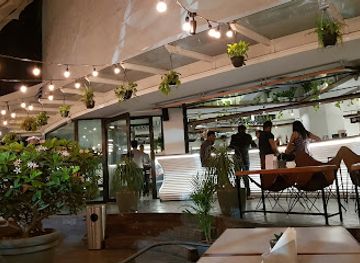 india/pune/restaurant/the-daily-all-day-pune