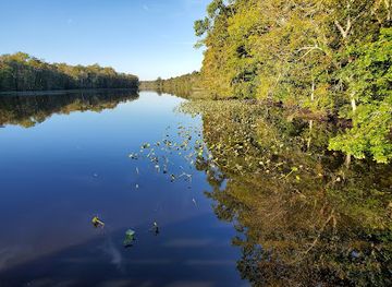maryland/pocomoke-river-state-park/restaurant/pocomoke-river-state-park-milburn-landing
