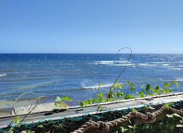 honduras/bay-islands/restaurant/gio-s-restaurant