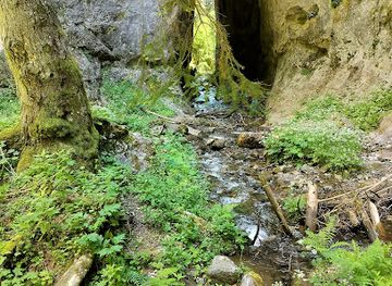 bulgaria/chepelare/restaurant/the-wonderful-bridges-hotel