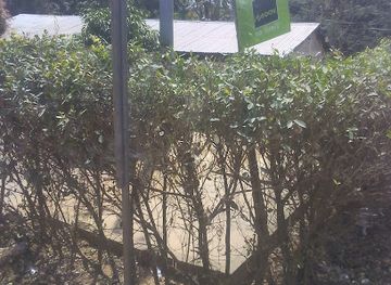 togo/sokode/restaurant/bar-resto-claudia