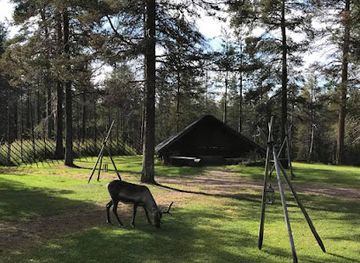 finland/lemmenjoki-national-park/restaurant/royal-reindeer-ounasvaara