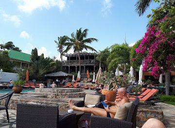 saint-kitts-and-nevis/nevis-lowlands/restaurant/palms-court-gardens