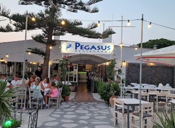 greece/south-aegean/restaurant/pegasus-restaurant