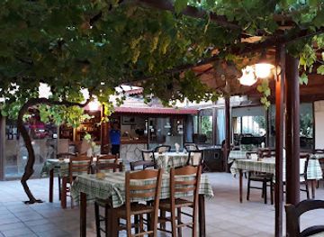 cyprus/pissouri-village/restaurant/the-vineleaf-tavern