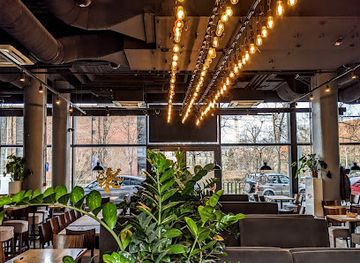 poland/wroclaw/restaurant/drevny-kocur-ovo-wroclaw