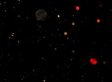 somalia/gedo/restaurant/amino-bile-restaurant