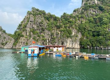 vietnam/cat-ba-island/restaurant/my-way-pizza-healthy-vegan-restaurant
