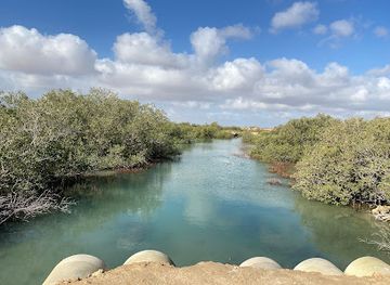 saudi-arabia/farasan-islands/restaurant/indian-kerala-restaurant