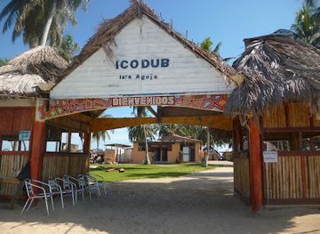 panama/san-blas-islands/restaurant/banedo-fragata