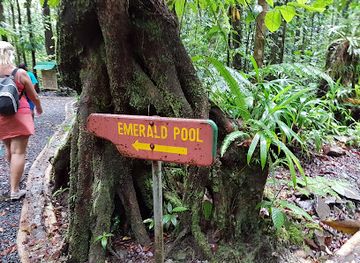 dominica/emerald-pool/restaurant/the-banana-leaf-restaurant