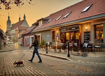 slovakia/trnava-region/restaurant/patriot