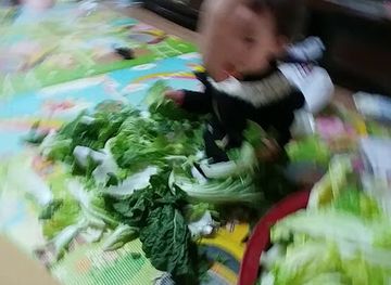 south-korea/mokpo/restaurant/saeronasikdang