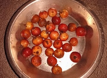 nepal/poon-hill/restaurant/rakhu-bhagawati