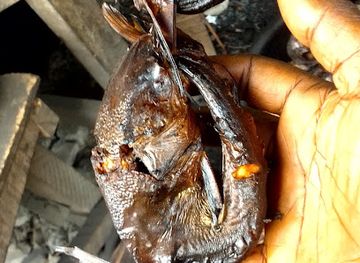 nigeria/itsekiri/restaurant/dominion-foodies