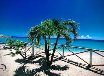sint-maarten/le-galion-beach/restaurant/tortuga-maho
