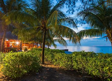 honduras/bay-islands/restaurant/trattoria-da-piero-restaurant-bar