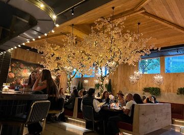 utah/salt-lake-city/restaurant/italian-graffiti