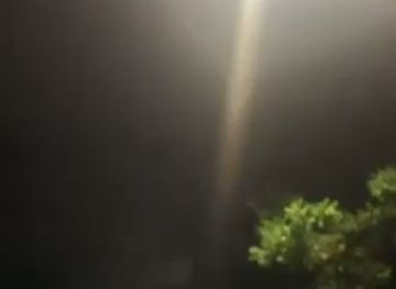 uzbekistan/syrdarya-region/restaurant/shoxsaroy