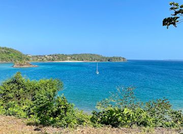 panama/pearl-islands/restaurant/panama-red-restaurant