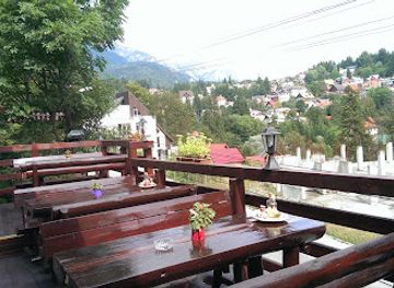 romania/bucegi-mountains/restaurant/pensiunea-alex